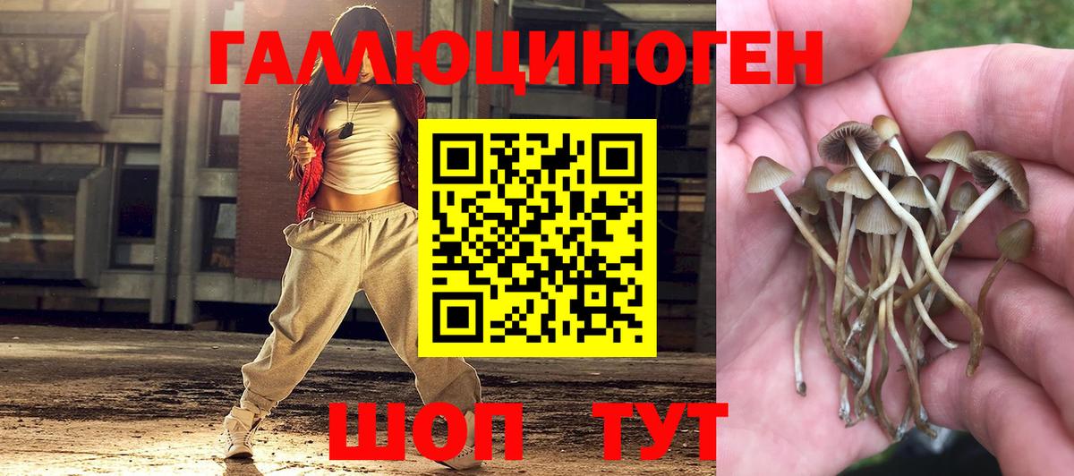 Галлюциногенные грибы Cubensis  Вход с VPN  как найти   Пенза 